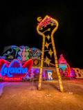 Neon Museum