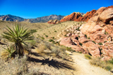 Calico Hills Trail