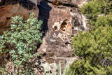 Petroglyph Wall Trail