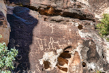 Petroglyph Wall Trail