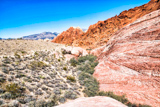 Calico Hills Trail