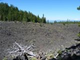 Photos/Images de Newberry NVM