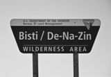 Bisti Wilderness