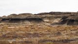 Bisti Wilderness