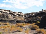 Bisti Wilderness