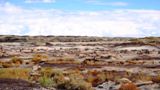 Bisti Wilderness