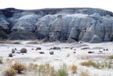 Bisti Wilderness