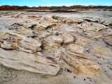 Bisti Wilderness