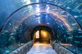 Audubon Aquarium