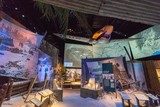 The National WWII Museum