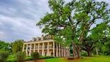 Photos/Images de Oak Alley Plantation