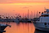 Oceanside Harbor