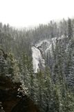 Virginia Cascades