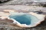 Heart Spring