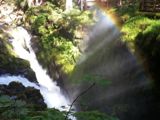 Photos/Images de Olympic National Park