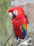 Henry Doorly Zoo