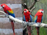 Henry Doorly Zoo