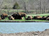 Conservation Park & Wildlife Safari