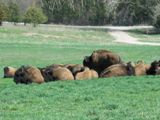 Conservation Park & Wildlife Safari