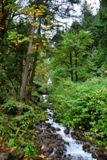 Wahkeena Falls