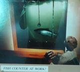 Bonneville Fish Hatchery