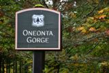 Oneonta Gorge