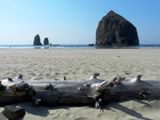 Haystack Rock