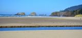 Cannon Beach