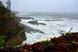 Cape Arago