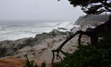 Cape Arago