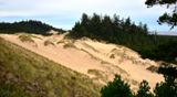 Oregon Dunes