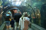 Oregon Coast Aquarium