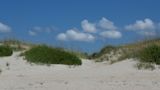 Dune sur la route NC12 à sur Ocracoke Island