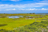 Pea Island National Wildlife Refuge