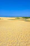 Jockey's Ridge State Park