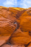 Owl Canyon