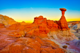 Toadstool Hoodoo