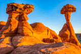 Toadstool Hoodoo