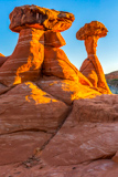 Toadstool Hoodoo
