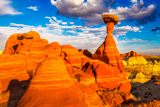 Toadstool Hoodoo