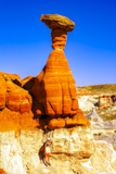 Toadstool Hoodoo