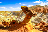 Paria Rimrocks