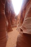 Spooky Gulch