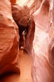 Spooky Gulch