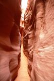 Spooky Gulch