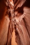 Spooky Gulch