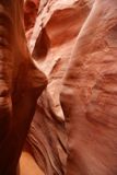 Spooky Gulch