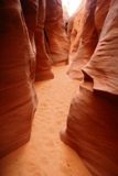 Spooky Gulch