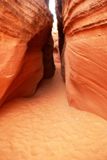 Spooky Gulch