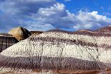 Fotos de Petrified Forest National Park &amp; Painted Desert